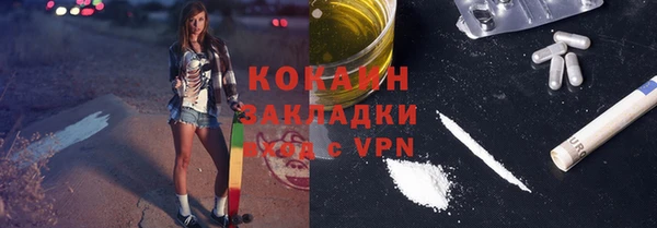 шишки Аркадак
