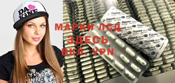 шишки Аркадак