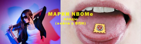 шишки Аркадак