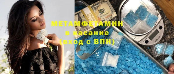 шишки Аркадак