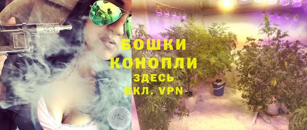 шишки Аркадак