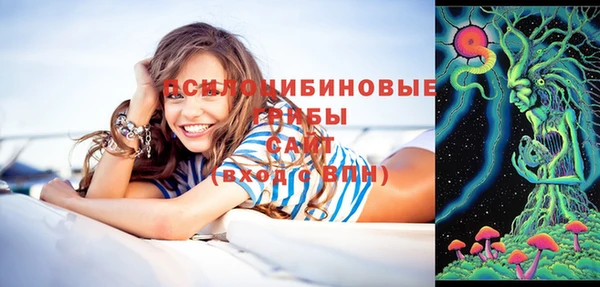 синтетический гашиш Арсеньев
