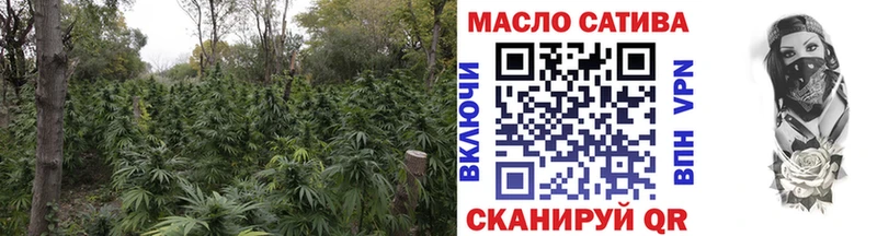 ТГК Wax  blacksprut tor  Старица 